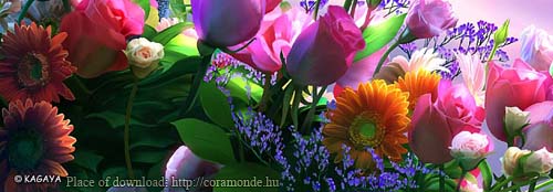 //aranyasszony.gportal.hu/portal/aranyasszony/image/gallery/1286776656_28.jpg