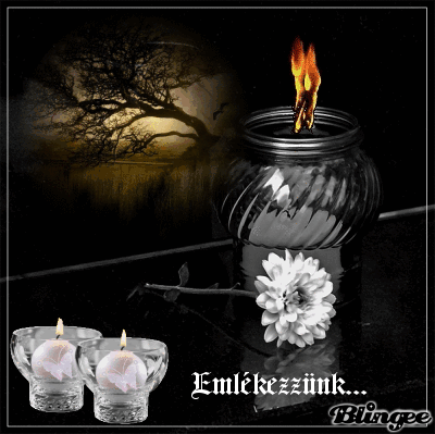 //aranyasszony.gportal.hu/portal/aranyasszony/image/gallery/1288332637_21.gif