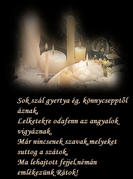 //aranyasszony.gportal.hu/portal/aranyasszony/image/gallery/1288332700_14.jpg